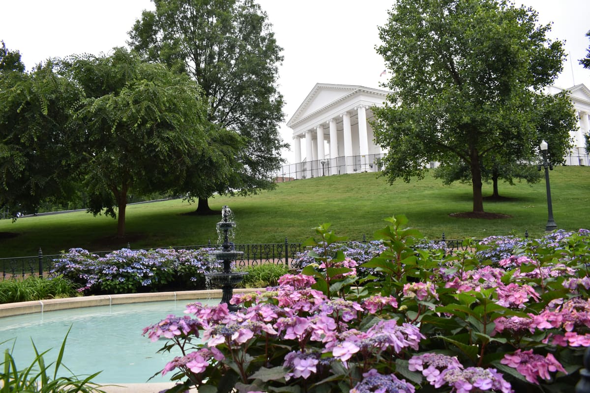 The Virginia State Capitol surrounded by blooming hydrangeas.